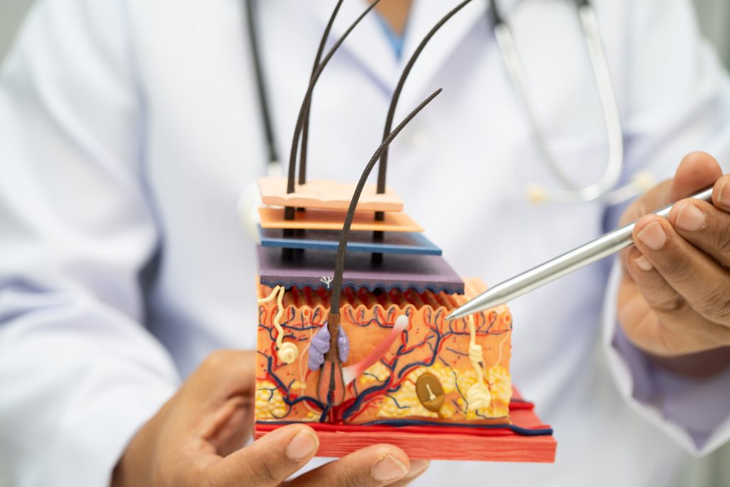 Terapi Exosome Follicle Neulife