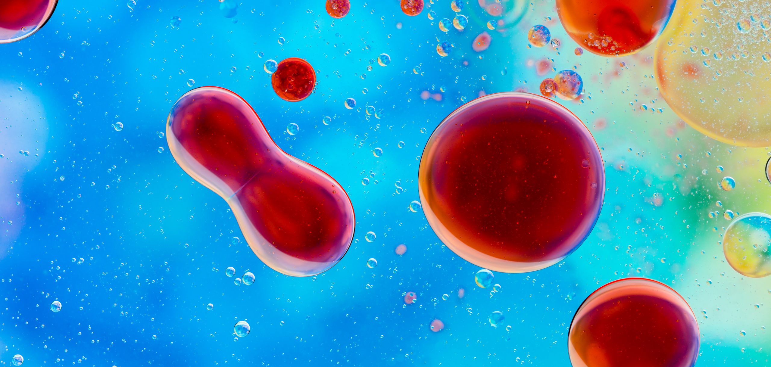 supplier exosome secretome klinik dan neulife